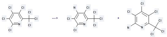 4-Pyridinamine,2,3,5-trichloro-6-(trichloromethyl)- can be prepared by 2,3,4,5-Tetrachloro-6-trichloromethyl-pyridine.
